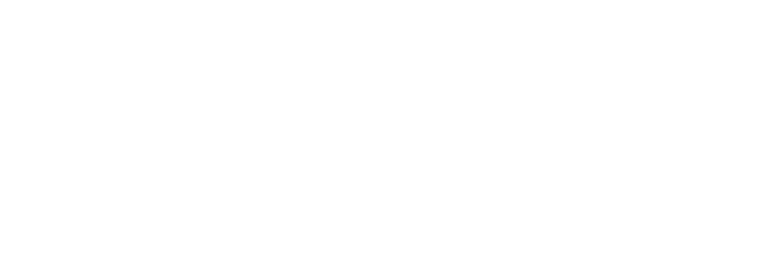 FENECON logo