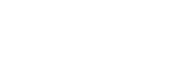 SOLPRO logo