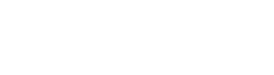 Connectika logo